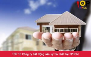 TOP 10 Công ty bất động sản uy tín nhất tại TPHCM