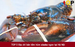 TOP 5 Địa chỉ bán tôm hùm alaska ngon tại Hà Nội