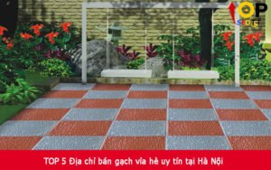 TOP 5 Địa chỉ bán gạch vỉa hè uy tín tại Hà Nội