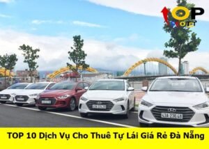 thue-xe-tu-lai-da-nang (1)