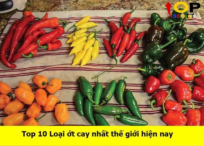 loại-ot-cay-nhat-the-gioi-hien-nay (1)