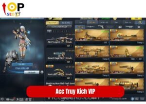 Acc Truy Kích VIP