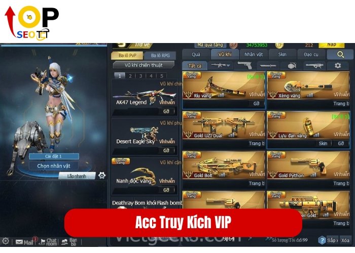 Acc Truy Kích VIP