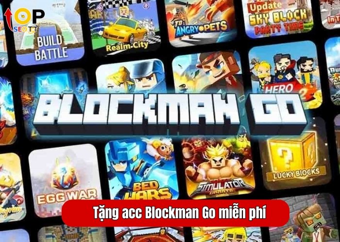 Tặng acc Blockman Go miễn phí (1)
